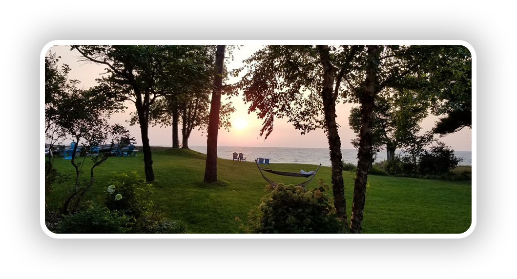 Sunset Over a Lake With Trees and Benches Near Lake