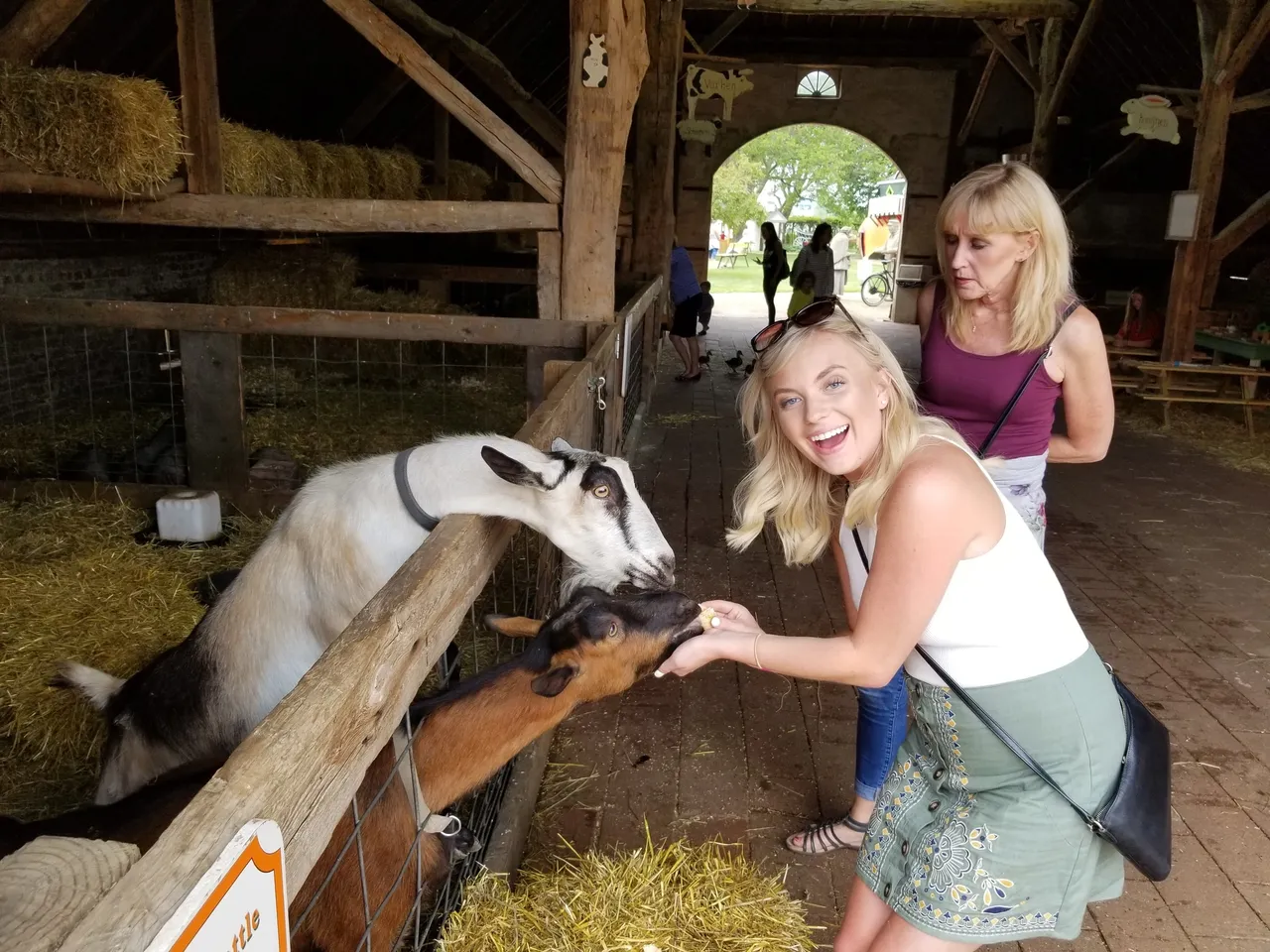 Two women feeling goats