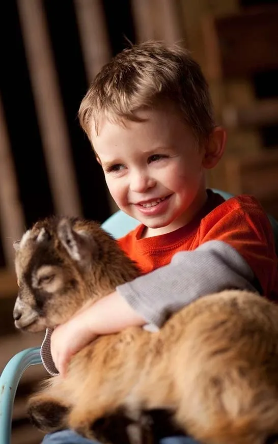 A young boy hugging a baby goat